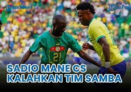 Tim Samba Artinya